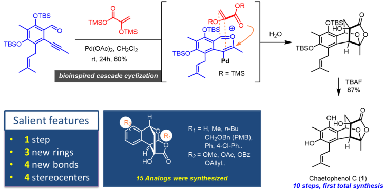chaetophenolC-4-1